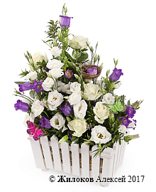 ���������� � �������� ����� ���� ������ � �����