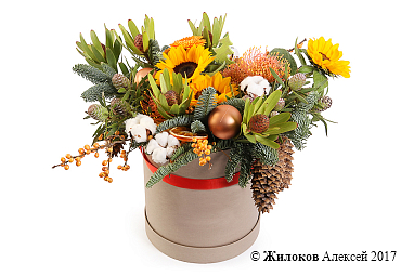 ����� ����� � ������ � ������� �������