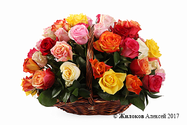 ����� ����������� ������� (51 ����) � �������