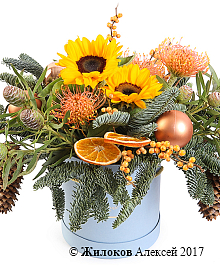 ����� ���������� ���������� � ������� �������