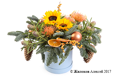 ����� ���������� ���������� � ������� �������