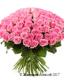 Букет 101 роза Аква