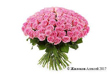 ����� 101 ���� ����