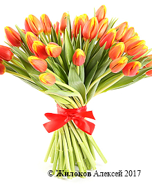 ����� 51 �������, �����