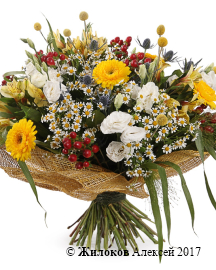 ����� ���� �������� �� �����