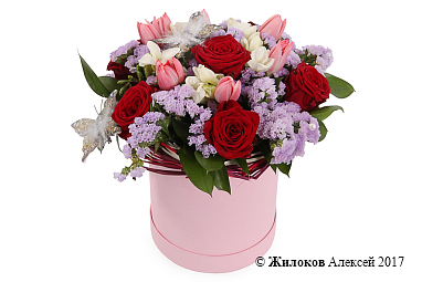 ����� �������� ���� � ������� �������