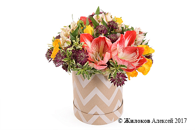 ����� ������ ����� � ������� �������