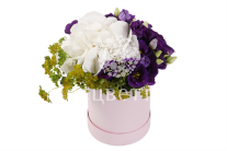 ����� ����� � ������� � ������� �������