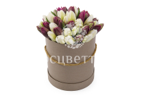 ����� 51 ����������� ������� � ���������� ������� �������, ����-��������� ����