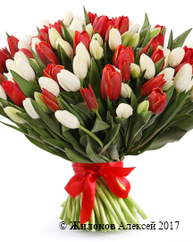 ����� 101 �������, ������-����� ����