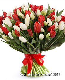 ����� 101 �������, ������-����� ����