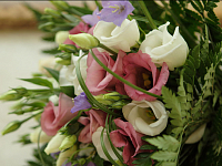 ������� � �����, ������� �� ����