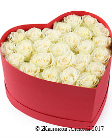 ����� �������� ��� � ������� ������� ������