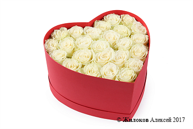 ����� �������� ��� � ������� ������� ������