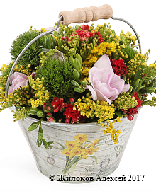 ����� ������� ��������