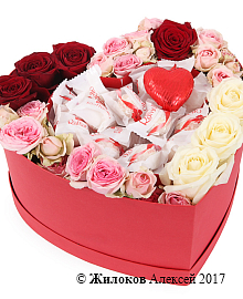 ���������� ������� ��������� (Raffaello)