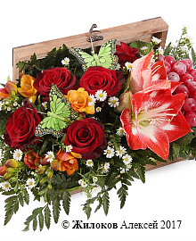 ���������� ������ ������� � �����