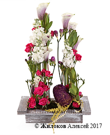 ���������� ��������� ��������