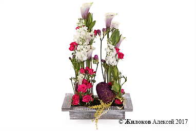 ���������� ��������� ��������