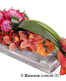 ���������� ������� ������