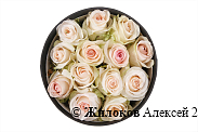 Букет 13 роз Сеньорита в шляпной коробке
