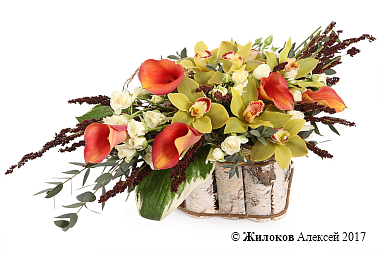 ����� ������� �������