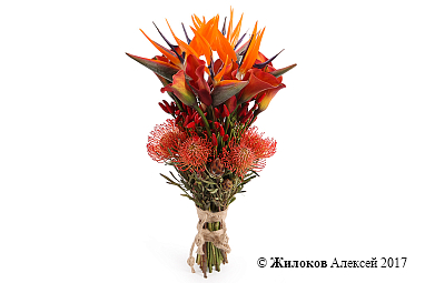 ����� � ������� ����� ������� ������