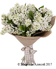 ����� ����� �����