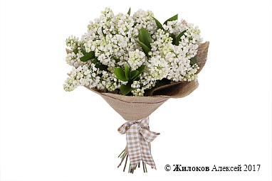 ����� ����� �����