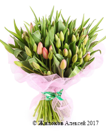 ����� 101 ����������� �������