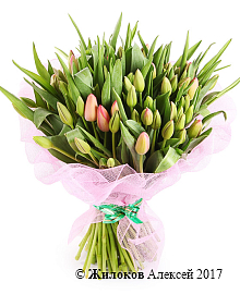 ����� 101 ����������� �������