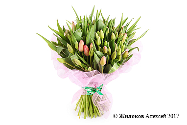 ����� 101 ����������� �������