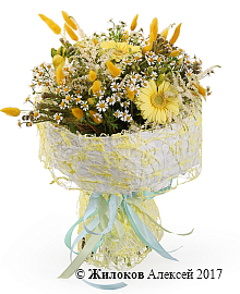 ����� ������ �������