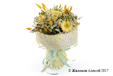 ����� ������ �������