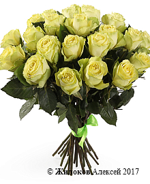 ����� 25 ��� �����