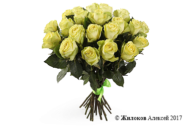 ����� 25 ��� �����