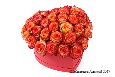 ����� ��������� ������ � ������� ������� ������