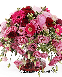 ���������� ������ ������