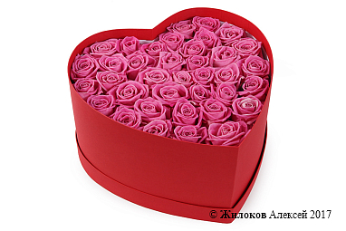 ����� ��������� ������ � ������� ������� ������