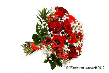 ����� ������� ��������