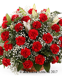 ����� � ���������� �����