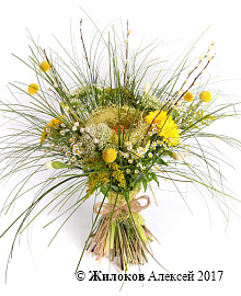 ����� ������ �����