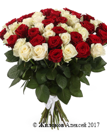 ����� 51 ���� ������-����� ����