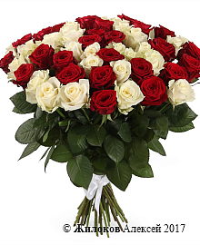 ����� 51 ���� ������-����� ����