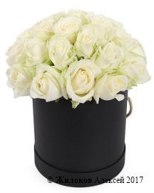 ����� 25 ��� ������� � ������� �������