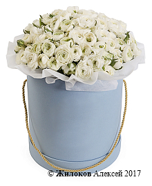 ����� �������� � ������� � ������� �������