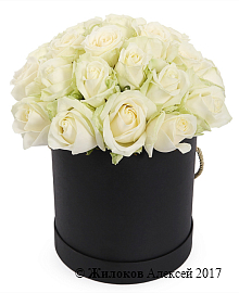 ����� 25 ��� ������� � ������� �������