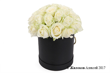 ����� 25 ��� ������� � ������� �������