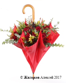 ���������� ������ � ����