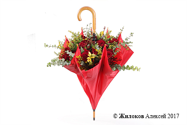 ���������� ������ � ����